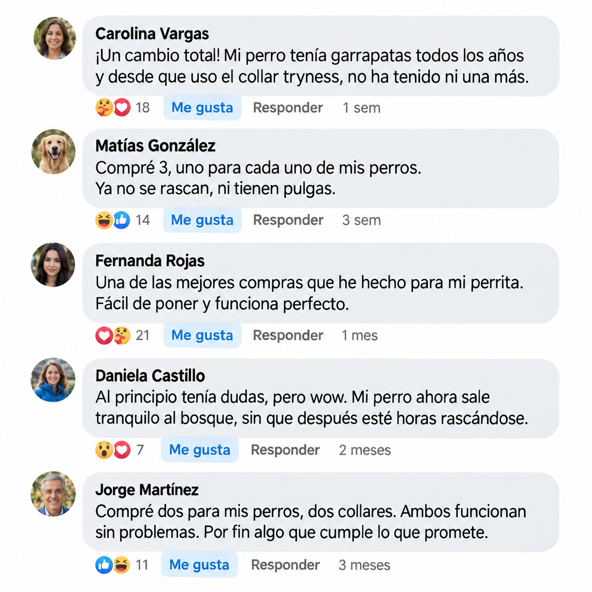 TryNees™ 12 meses de protección contra pulgas, garrapatas y parásitos.