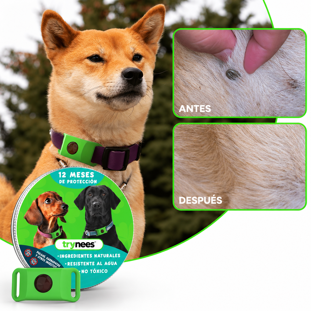 TryNees™ 12 meses de protección contra pulgas, garrapatas y parásitos.