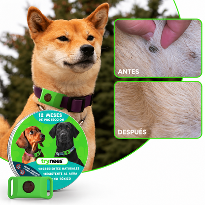 TryNees™ 12 meses de protección contra pulgas, garrapatas y parásitos.